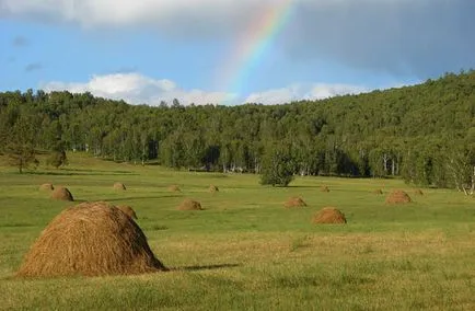 Cifrele cu privire la natura acestei Cifrele cu privire la natura acestei
