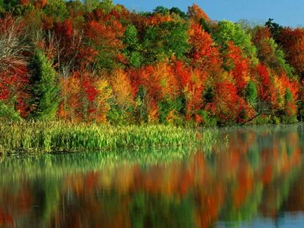 Cifrele cu privire la natura acestei Cifrele cu privire la natura acestei