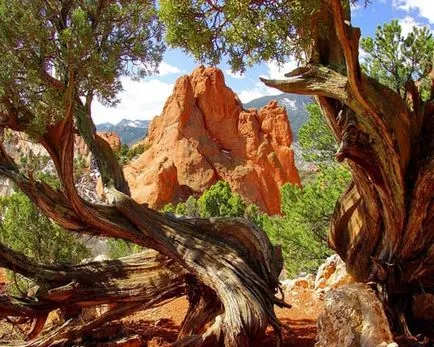 Cifrele cu privire la natura acestei Cifrele cu privire la natura acestei