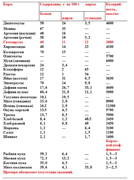 Gammarus ce este