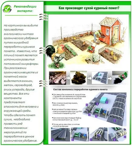 Cât de des pentru a fertiliza