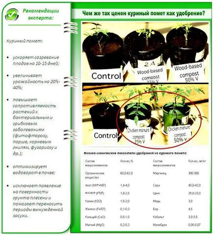Cât de des pentru a fertiliza