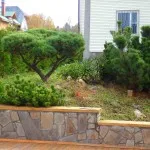 Do it yourself design peisagistic