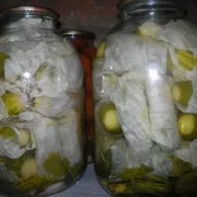 castravete feliat