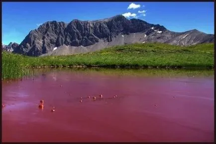regiunea Altai cum să ajungă la