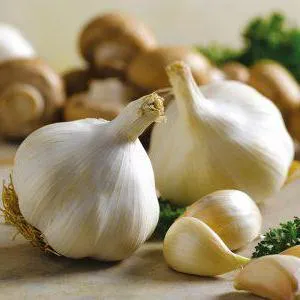 Ce ajutor de la stomatită Ce ajutor de la stomatită