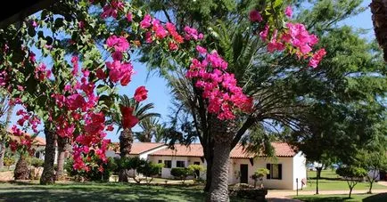 Beach-l bungalow