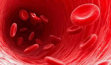 Cum de a închiria un test de sânge comun Cum de a închiria un test de sânge comun