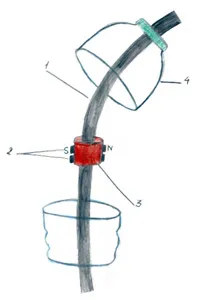 Deoarece apa magnetiza