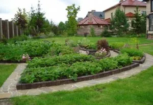 Cum de a decora gradina ta Cum de a decora gradina ta