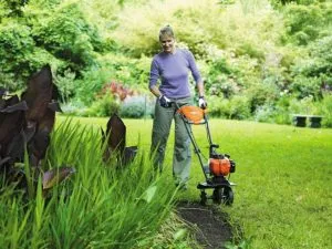 Cum de a decora gradina ta Cum de a decora gradina ta