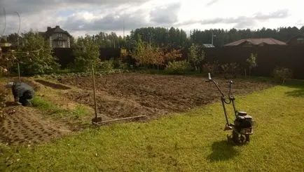 Cum de a decora gradina ta Cum de a decora gradina ta