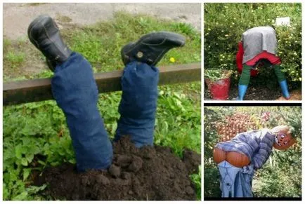Cum de a decora gradina ta Cum de a decora gradina ta