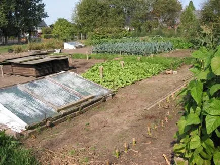 Cum de a decora gradina ta Cum de a decora gradina ta
