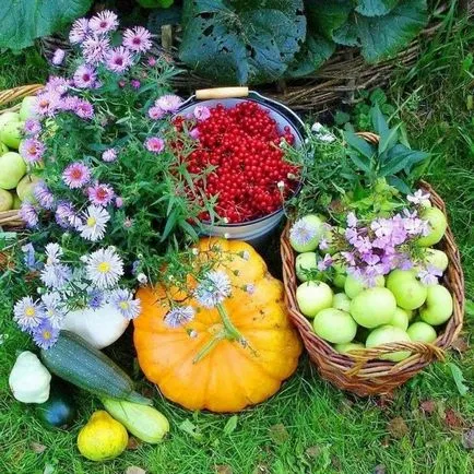 Cum de a decora gradina ta Cum de a decora gradina ta