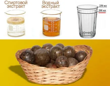 Cum și ce tratează propolis Cum și ce tratează propolis
