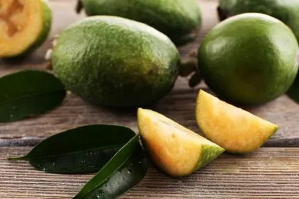 Ce este Patyka