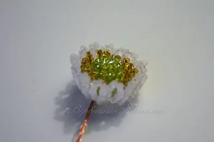 Master class anemone șirag de mărgele