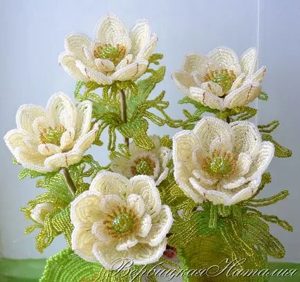 Master class anemone șirag de mărgele