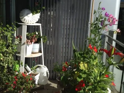 Etaj standuri pentru flori cu propriile sale mâini