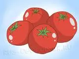 Tomate în ghivece