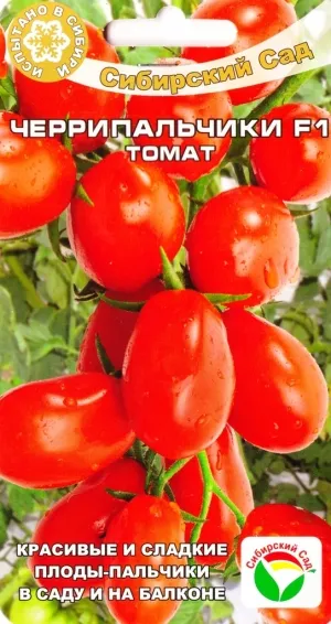 Tomate în ghivece