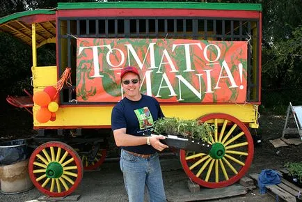 tomate țară