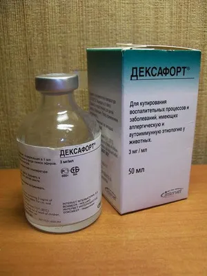 Deksafort pentru pisici