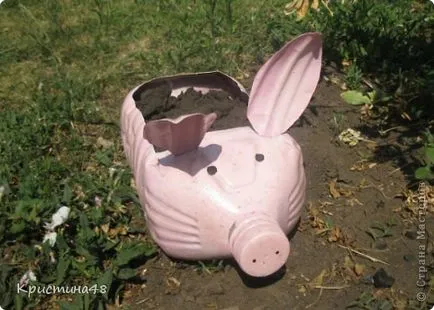 Cum sa faci un porc