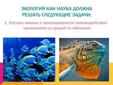 Ce este de prezentare ecologie Ce este de prezentare ecologie