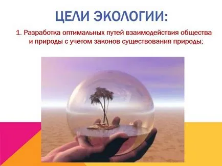 Ce este de prezentare ecologie Ce este de prezentare ecologie