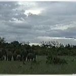 Cum de a rezolva problema ecologiei Cum de a rezolva problema ecologiei