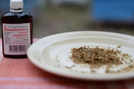 Cum și ce tratează propolis Cum și ce tratează propolis