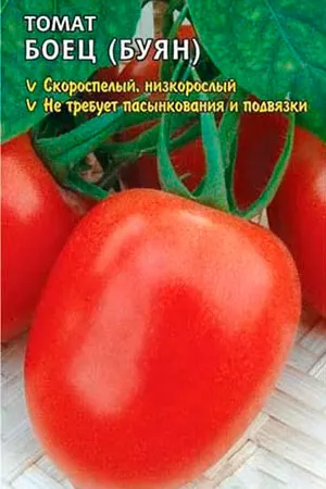 tomate Ultrarannie