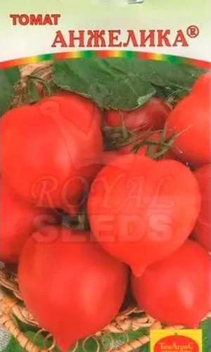 tomate Ultrarannie