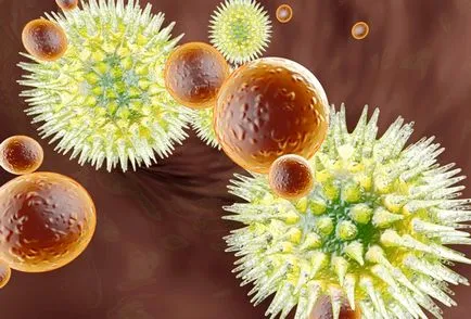 Răspândirea infecției Răspândirea infecției