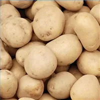 Ce este tuberculii de cartofi Ce este tuberculii de cartofi