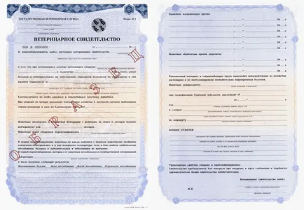 Bilet pentru câini Bilet pentru câini