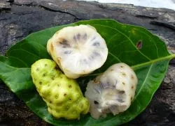 Sucul de noni De ce