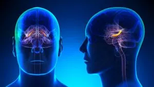Tratamentul encefalopatiei cerebral