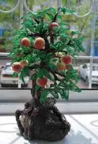 tomate țară