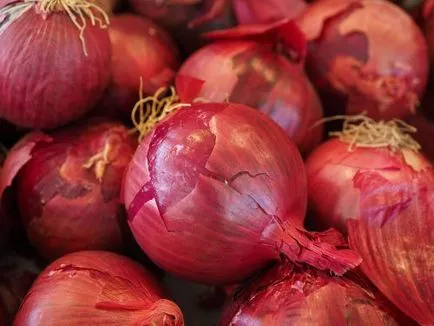 Ceea ce ajută la bataturi