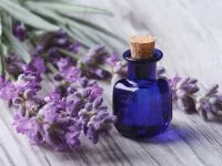 Verbena ulei esențial