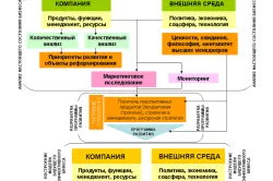 dezvoltarea afacerilor, care este