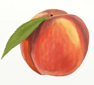 Cifrele cu privire la natura acestei
