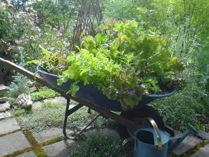 ornament de grădină cu propriile mâini