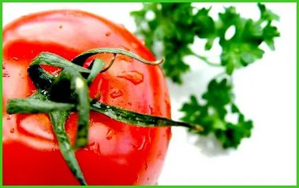 tomate Ultrarannie tomate Ultrarannie