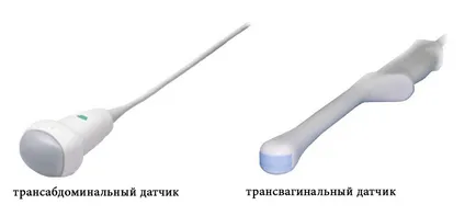 uter ultrasunete si fanere