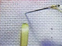 Cum să brodeze curele pentru începători Cum să brodeze curele pentru începători