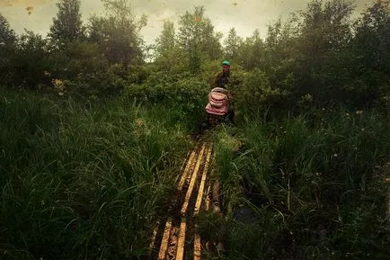 Nu înțeleg cum poate Nu înțeleg cum poate